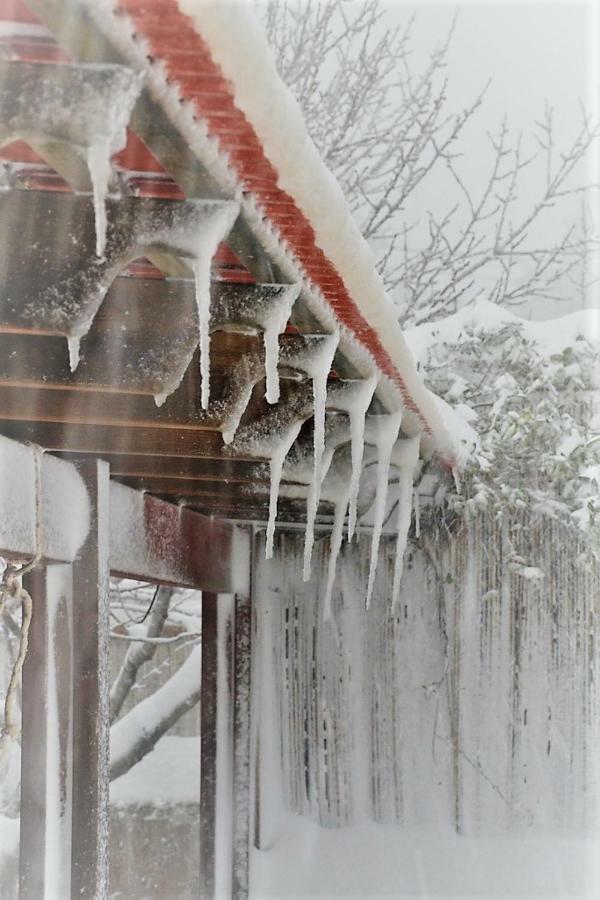 Si-Har Chalets Нимрод Экстерьер фото